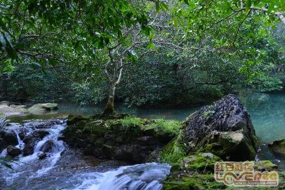 解惑蜗牛,问答平台抖音怎么取消一直刷到好友?